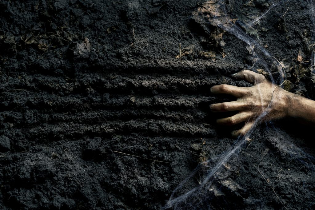 A hand reaching out from the dark ground entangled in cobwebs — symbolizing forgotten cold cases and buried secrets in criminal investigations.

