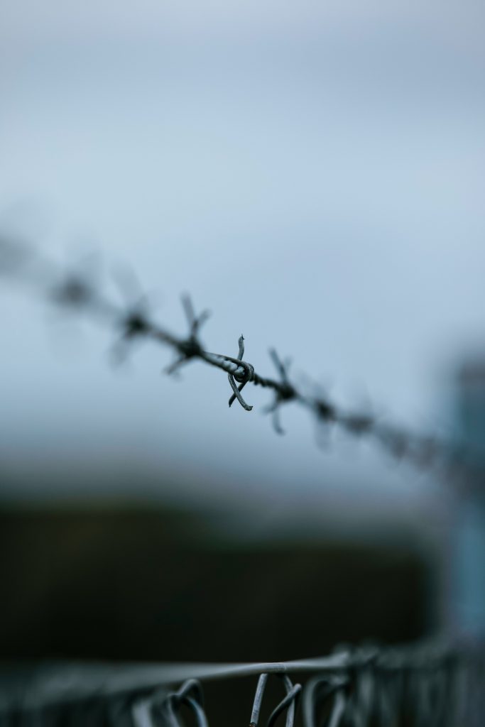 Close-up of barbed wire against a blurred background — symbolizing crime scenes, restricted access, and forensic investigation boundaries.

